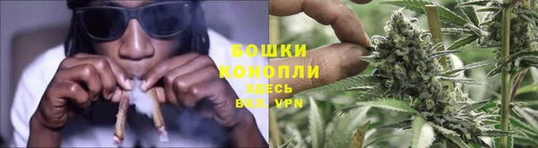 PSILOCYBIN Балахна