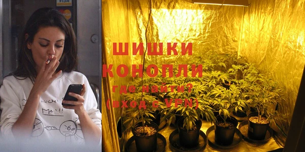 PSILOCYBIN Баксан