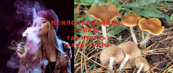 PSILOCYBIN Баксан