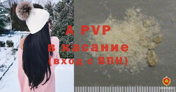 PSILOCYBIN Баксан