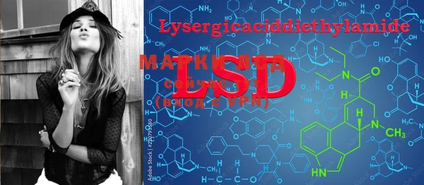 PSILOCYBIN Балахна