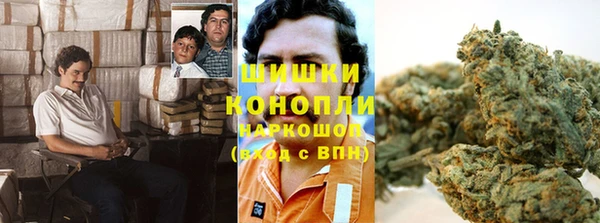 PSILOCYBIN Баксан
